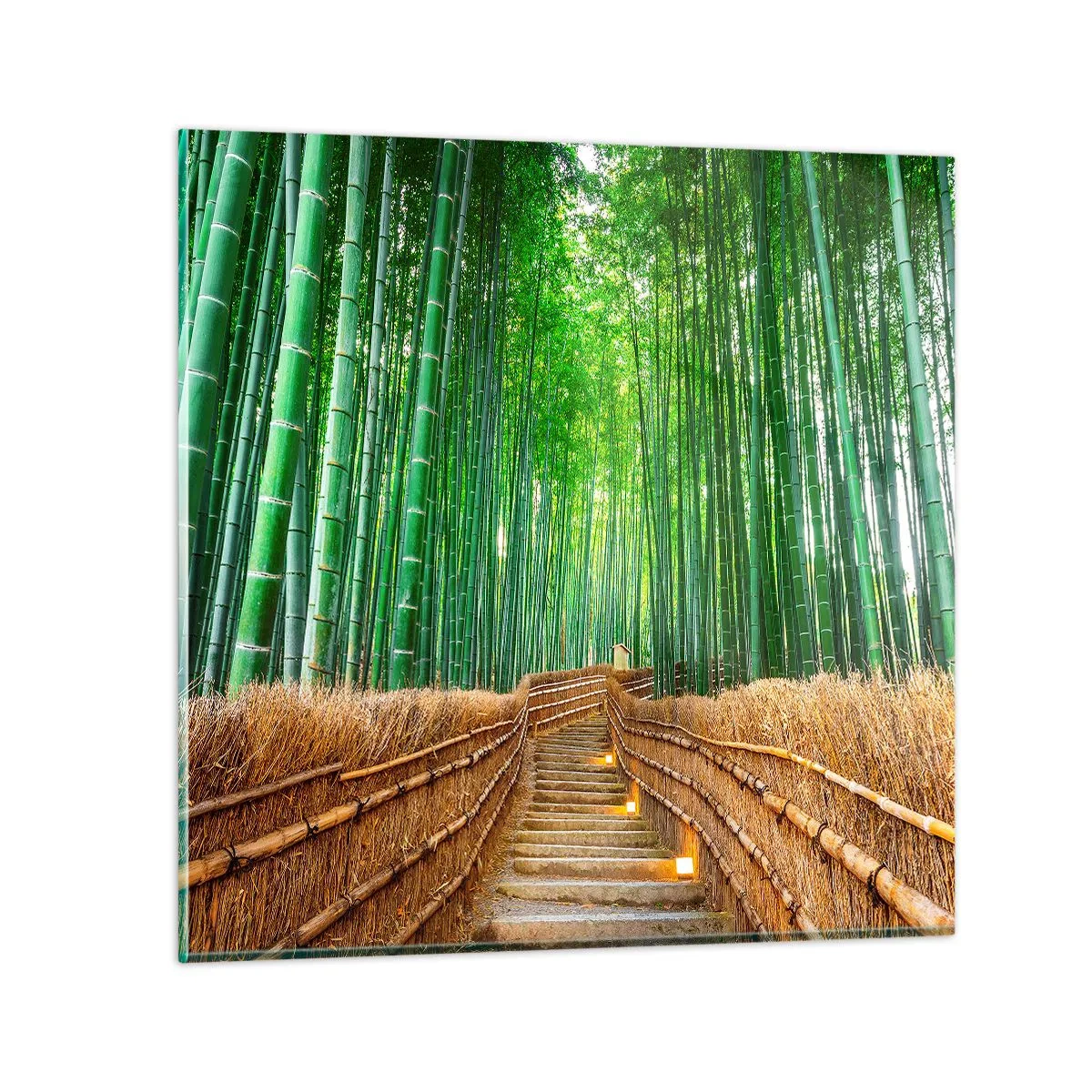 Quadro su vetro - Essenza della natura asiatica - 30x30 cm