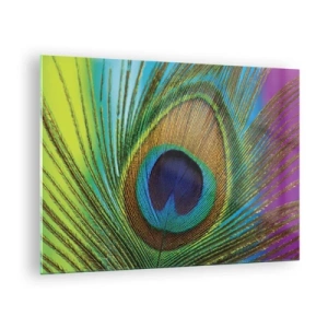 Quadro su vetro - Un primo piano di una piuma di pavone colorata - 70x50cm - Occhio nell'occhio - Decorazione murale moderna per soggiorno e camera da letto ARTTOR