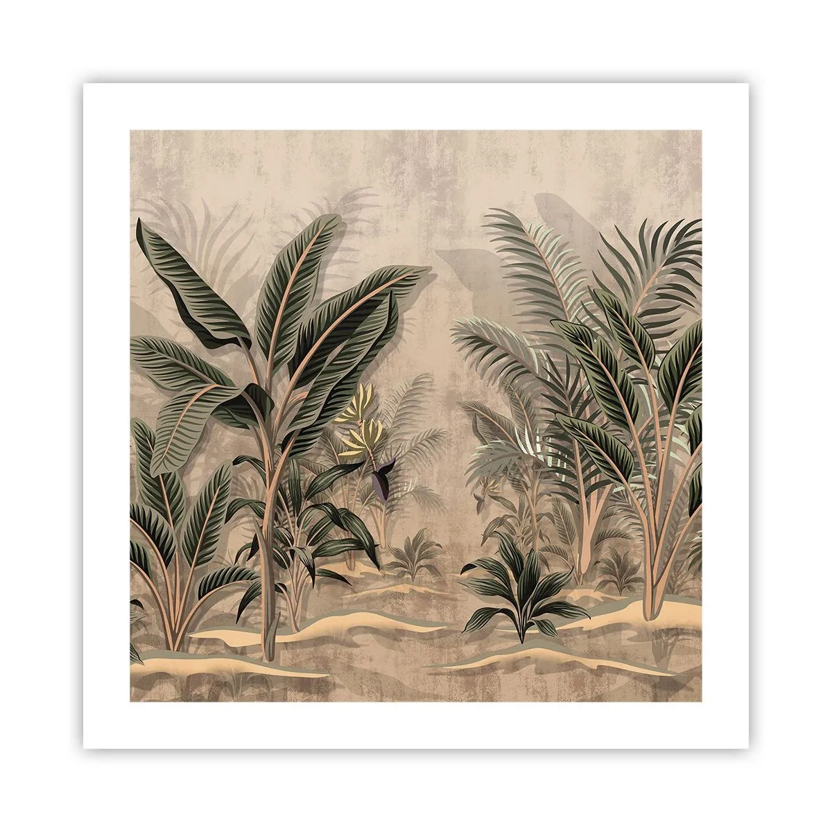 Poster - Incisione in stile coloniale - 50x50 cm