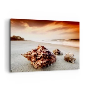 Quadro su tela - Stampe su Tela - Conchiglie sulla spiaggia al tramonto - 100x70cm - Esiliate dalle onde - Decorazione murale moderna per soggiorno e camera da letto ARTTOR