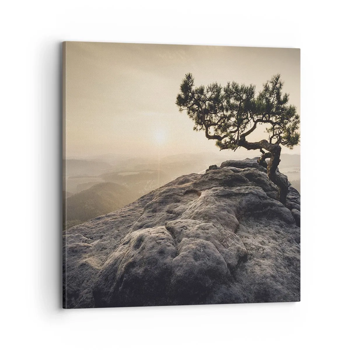 Quadro su tela - Stampe su Tela - La vita vince sempre - 70x70 cm