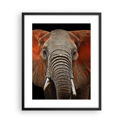 Poster in cornice nera - Sono selvaggio e tu? - 40x50 cm