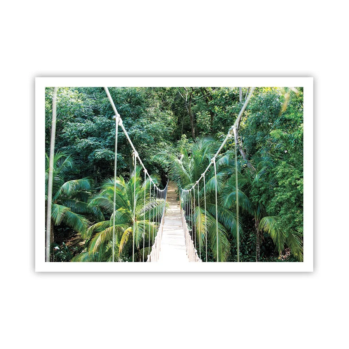 Poster - Un ponte sospeso in una giungla tropicale piena di verde - 100x70cm - Welcome to the jungle! - Decorazione murale moderna per soggiorno e camera da letto ARTTOR