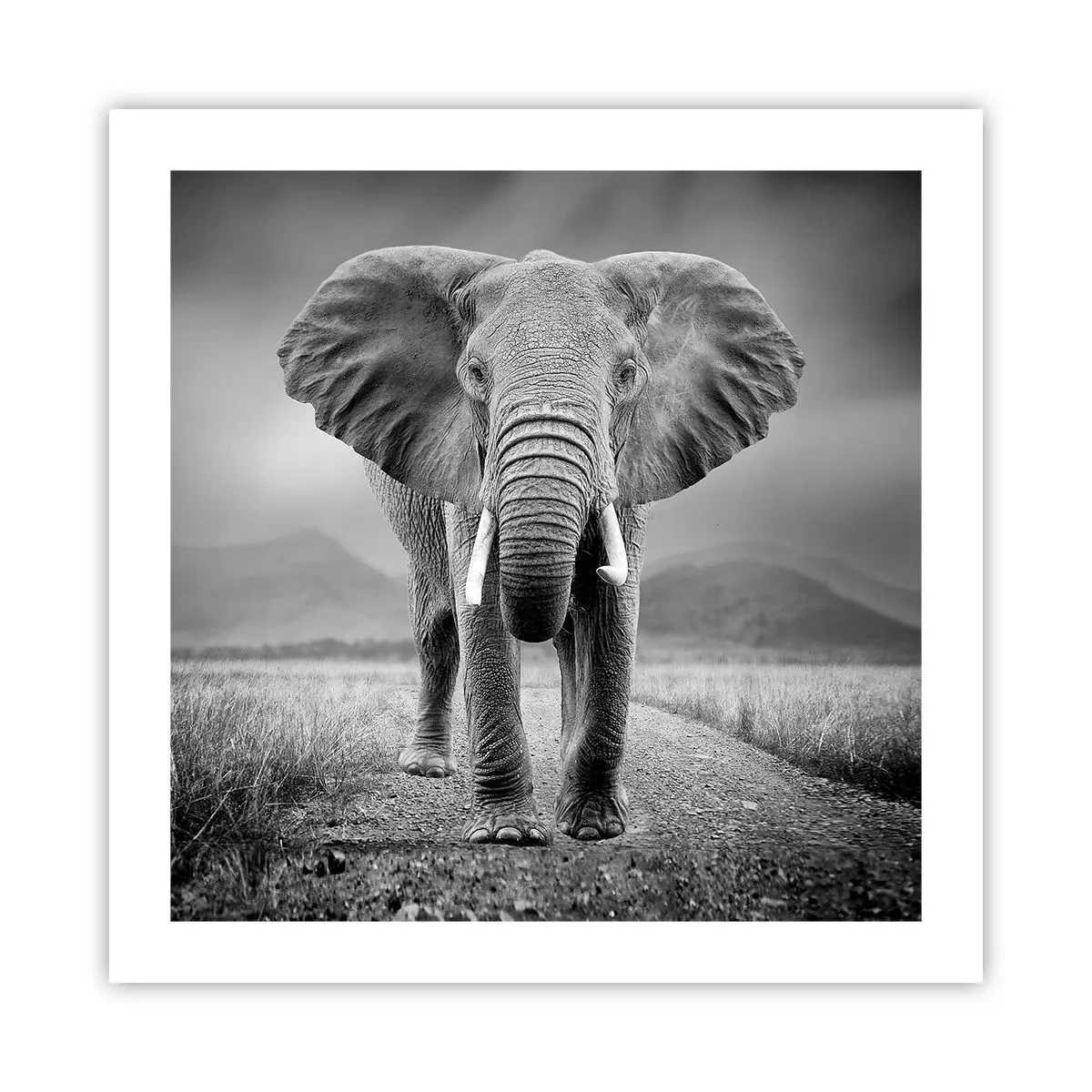 Poster - Il padrone di casa dà il benvenuto - 50x50 cm