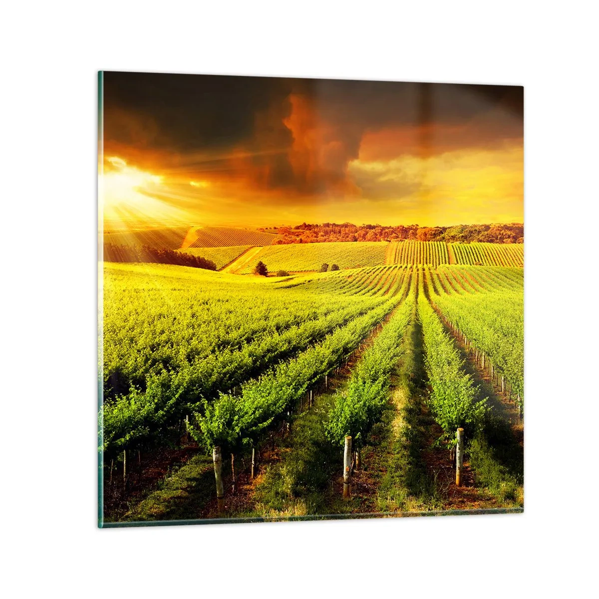 Quadro su vetro - Sotto il sole dell'Australia - 30x30 cm