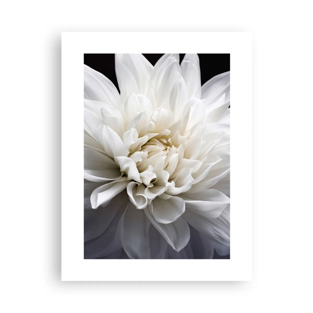 Poster - Il mattino della sposa - 30x40 cm