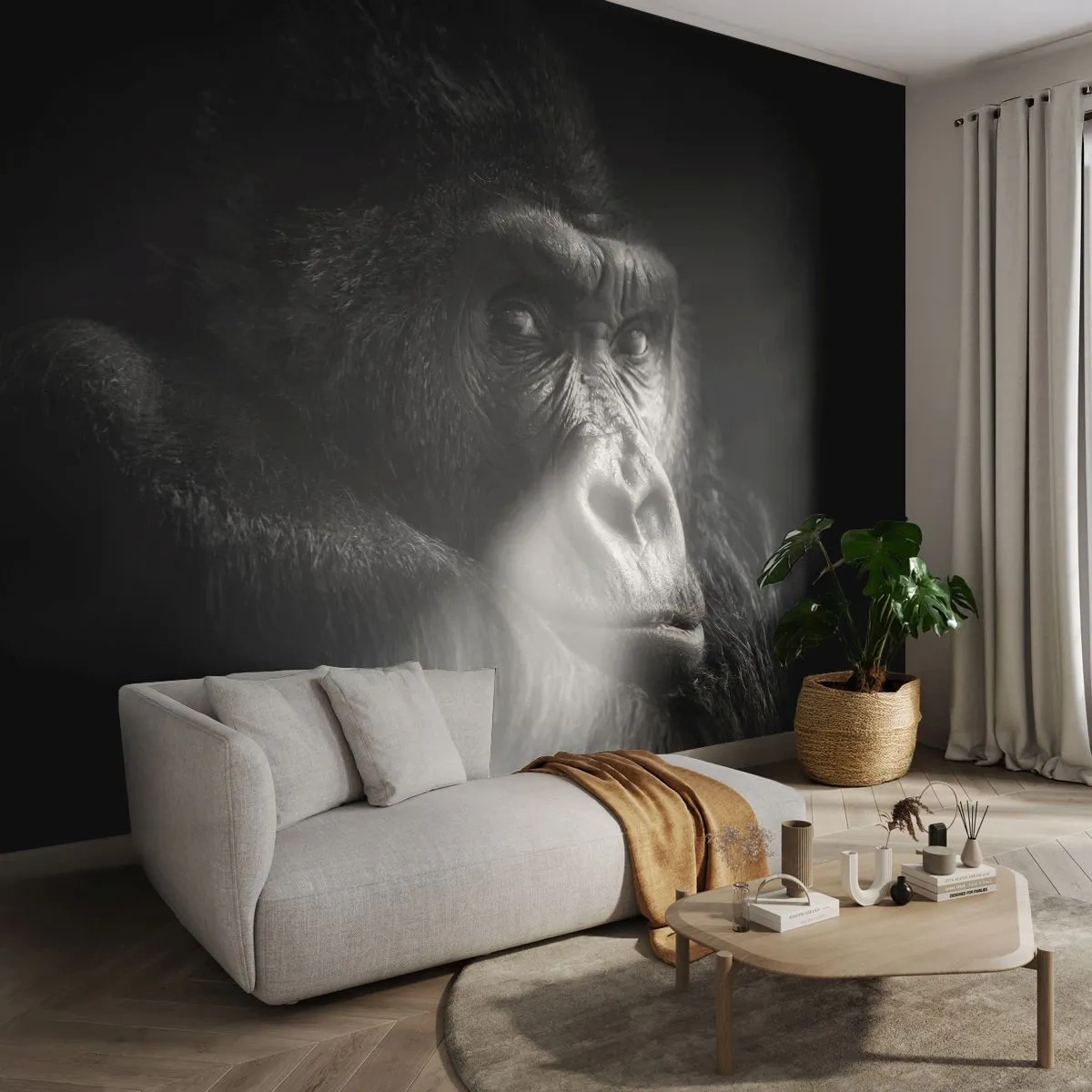 Fotomurali Premium Sand - E cosa guardi? - Scimmia, Gorilla, Animali - 350x256 cm