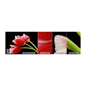 Campione di Fotomurale Premium Sand - Promessa di amore puro - Fiori, Tulipani, Natura - 100x30 cm
