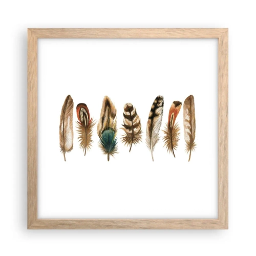 Poster in cornice rovere chiaro - Composizione di piume - 30x30 cm