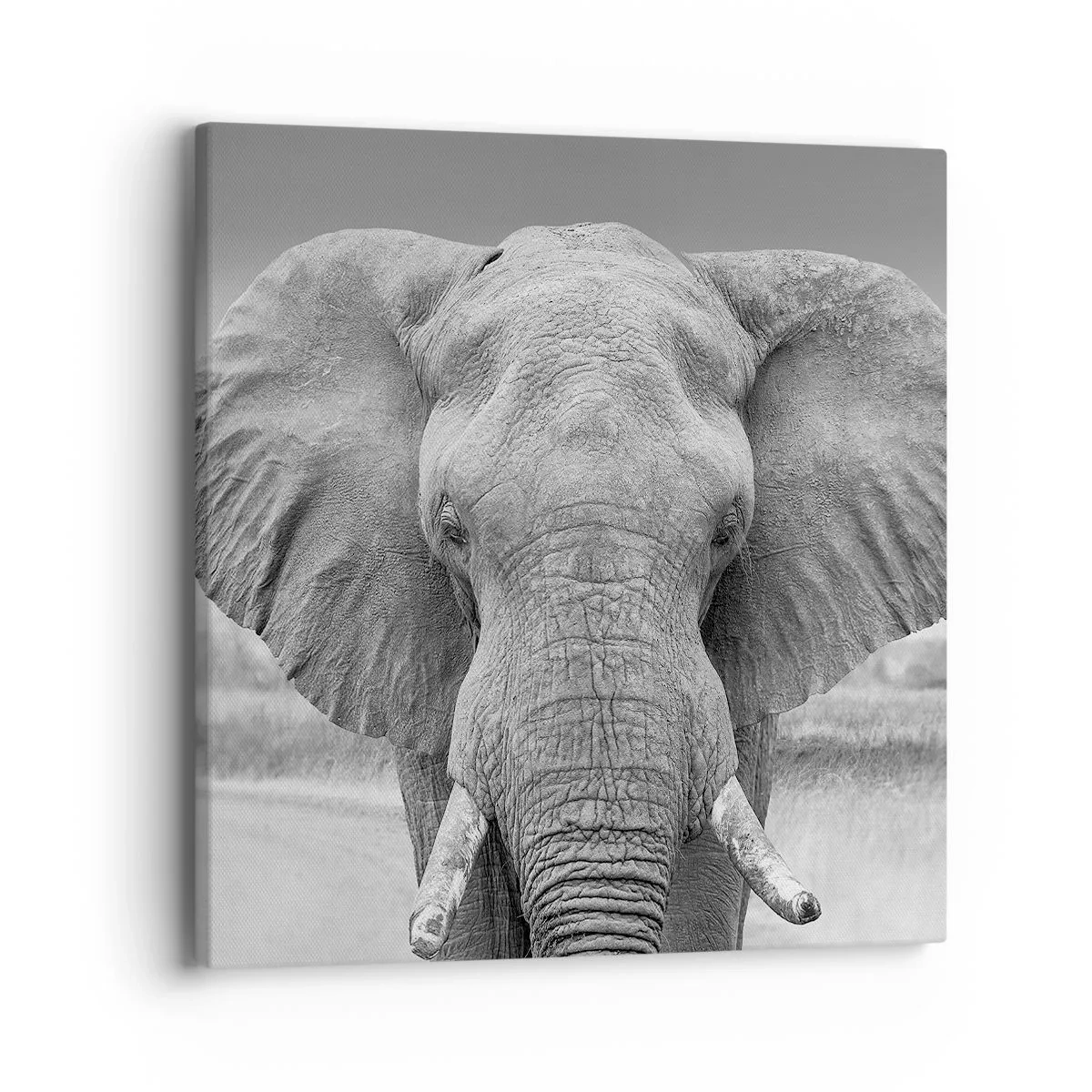 Quadro su tela - Stampe su Tela - Benvenuti nel mio mondo - 40x40 cm