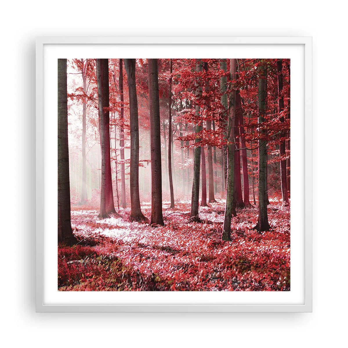 Poster in cornice bianca - Anche rosso è bello - 60x60 cm