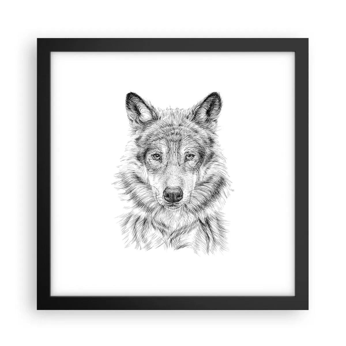 Poster in cornice nera - Condottiero nato - 30x30 cm