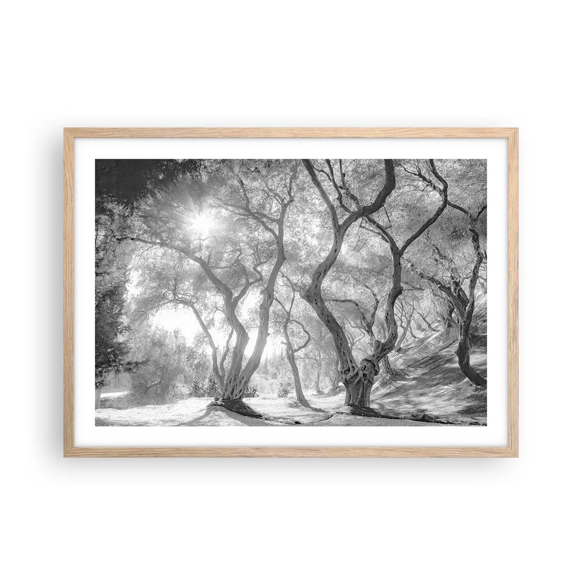 Poster in cornice rovere chiaro - Nell'orto degli ulivi - 70x50 cm