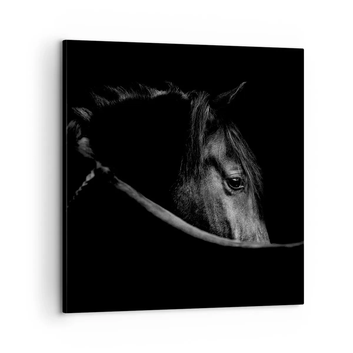 Quadro su tela - Stampe su Tela - Il principe nero - 60x60 cm