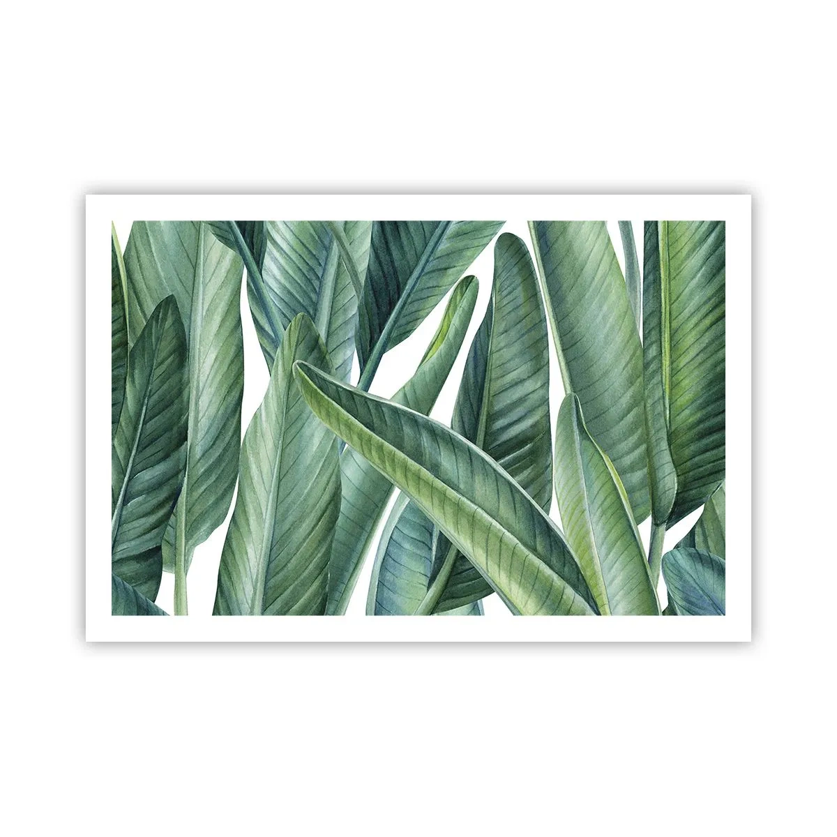 Poster - Il verde in sé - 91x61 cm