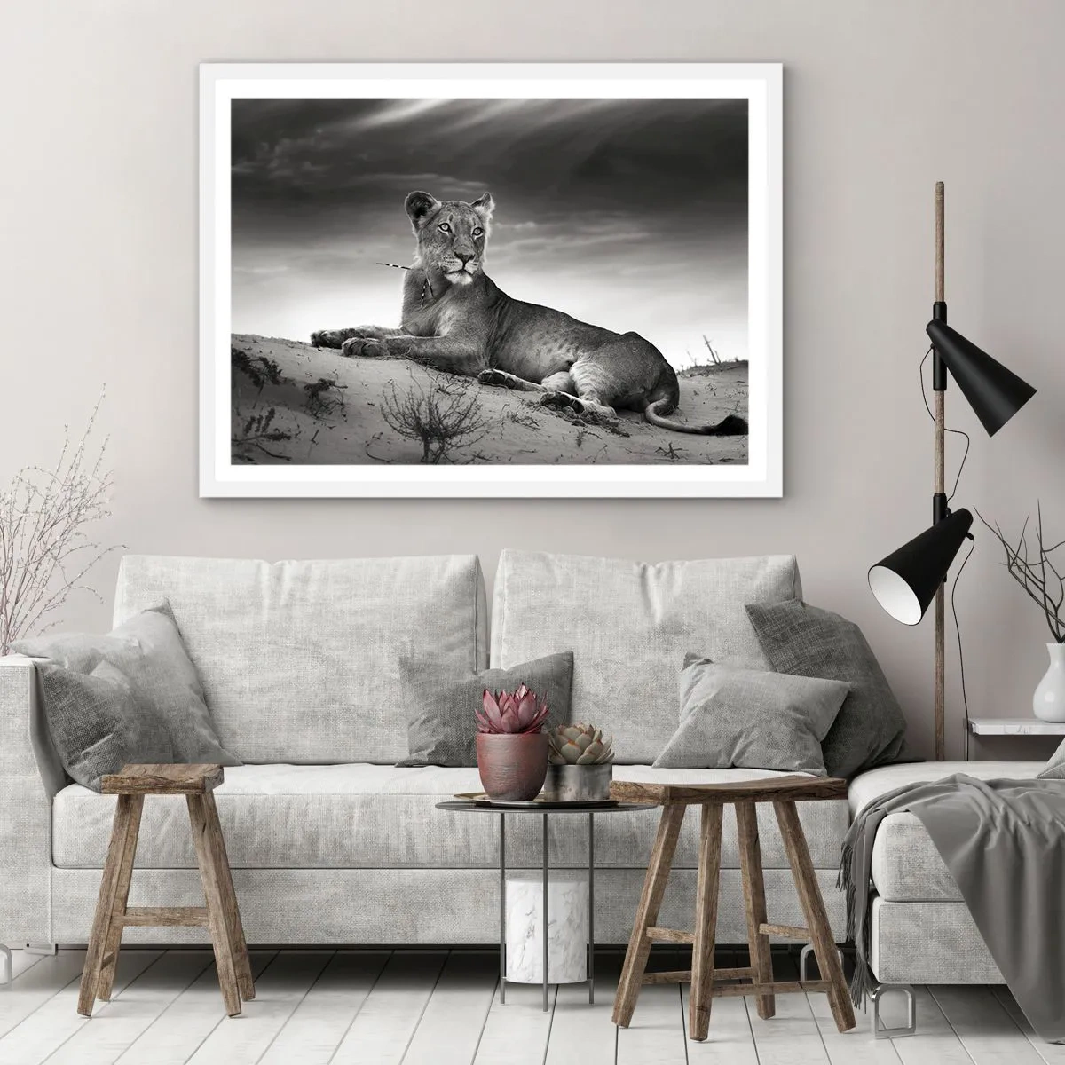 Poster in cornice bianca - Il riposo della regina del deserto - 70x50 cm