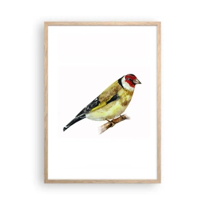 Poster in cornice rovere chiaro - Ritratto di uccello - 50x70 cm