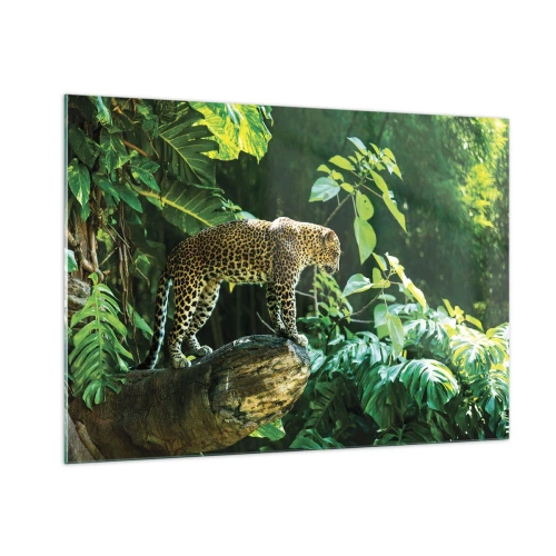 Quadro su vetro - Leopardo su una roccia nella giungla tropicale - 100x70cm - A caccia? - Decorazione murale moderna per soggiorno e camera da letto ARTTOR