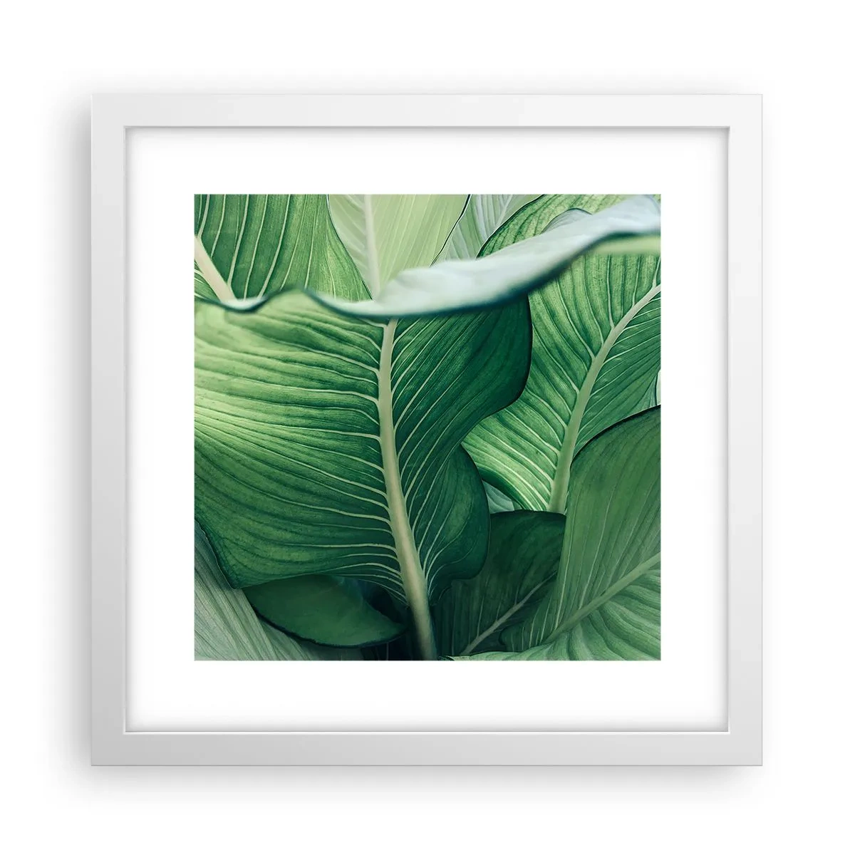 Poster in cornice bianca - Una vita intensamente verde - 30x30 cm
