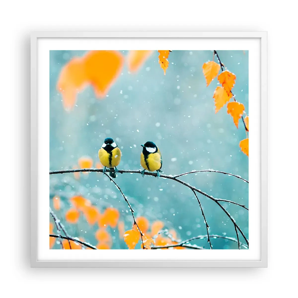 Poster in cornice bianca - Pettegolezzi alati - 60x60 cm