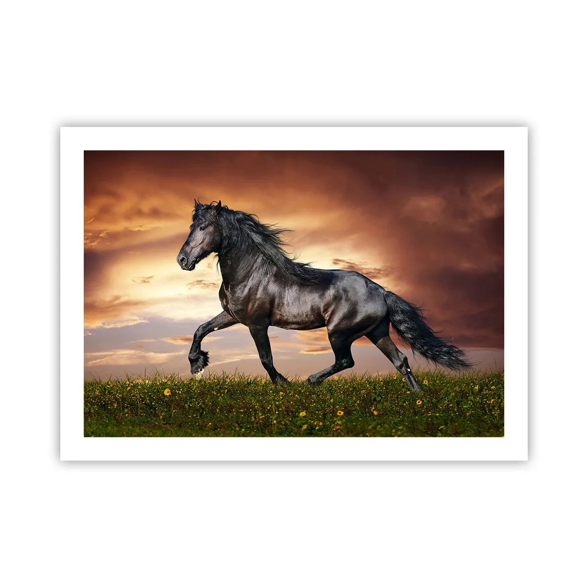 Poster - Il principe nero - 70x50 cm