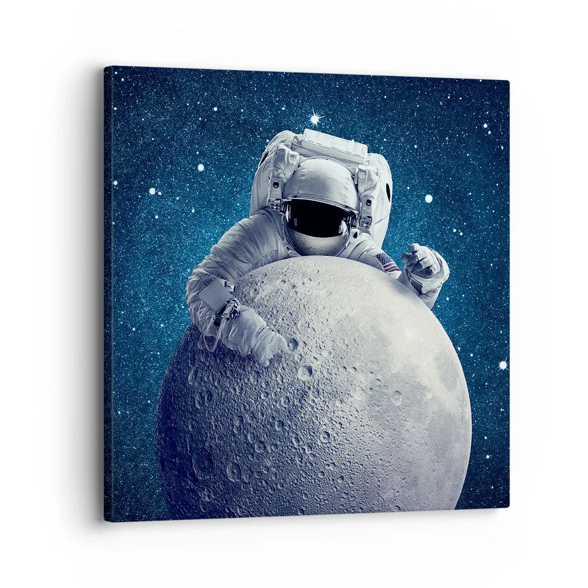 Quadro su tela - Stampe su Tela - Burlone spaziale - 30x30 cm
