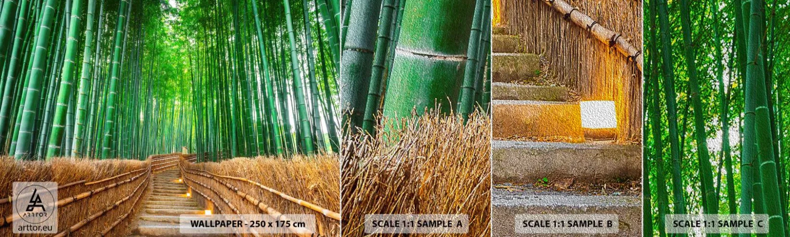 Campione di Fotomurale Premium Sand - Essenza della natura asiatica - Bambù, Foresta di bamboo, Natura - 100x30 cm