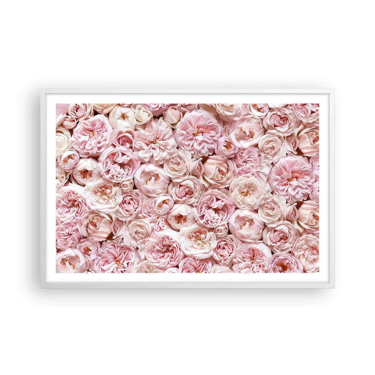 Poster in cornice bianca - Coperto di rose - 91x61 cm