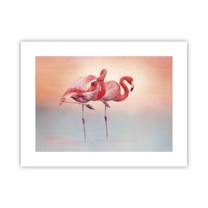 Poster - Nel colore del sole al tramonto - 40x30 cm