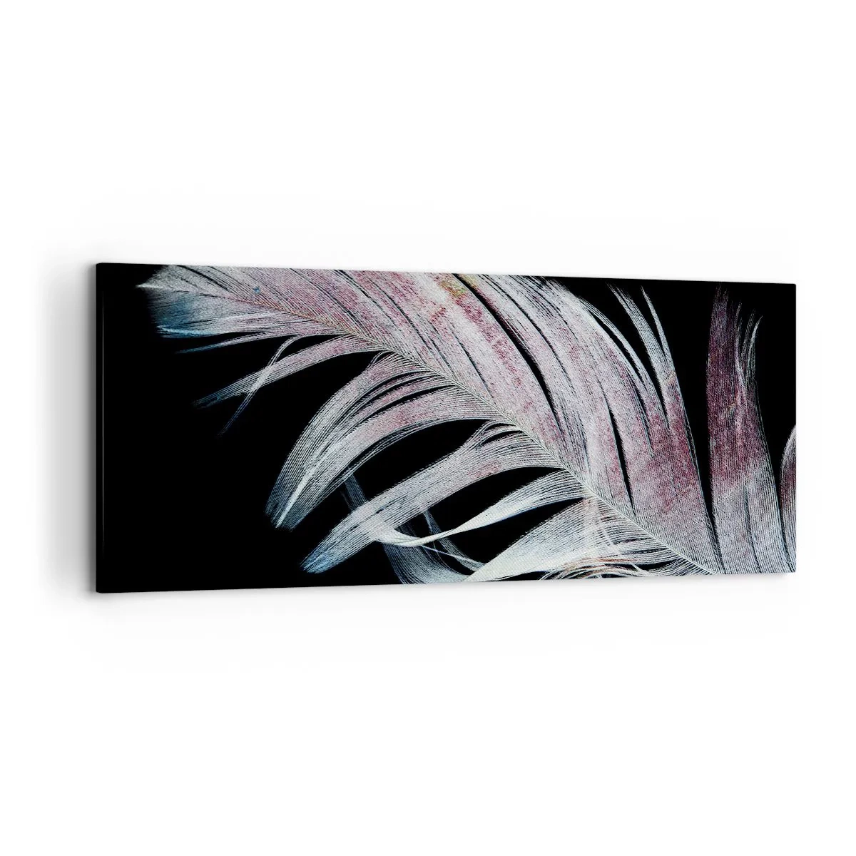 Quadro su tela - Stampe su Tela - Una piuma delicata su uno sfondo nero in un approccio artistico - 120x50cm - Pensa al tocco - Decorazione murale moderna per soggiorno e camera da letto ARTTOR