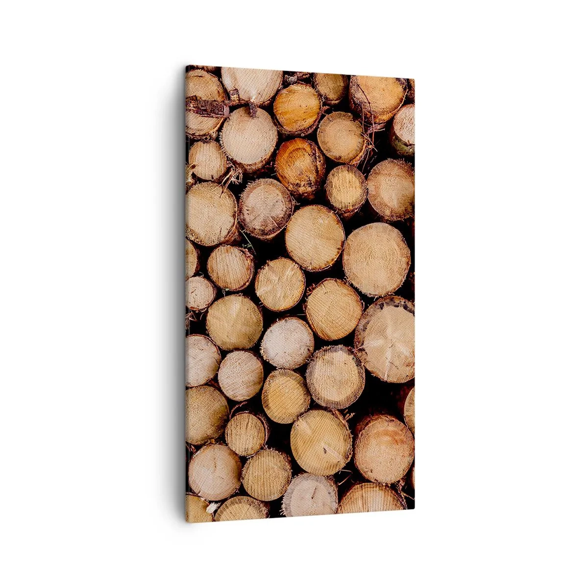 Quadro su tela - Stampe su Tela - Nuovo inizio - 45x80 cm