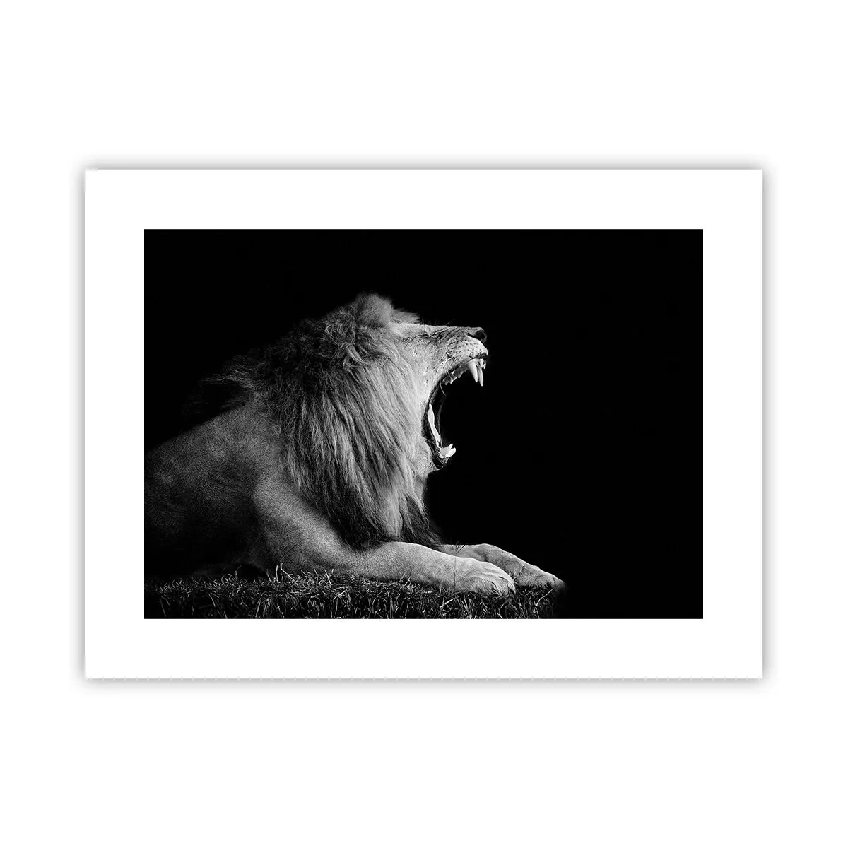 Poster - Senza alcun dubbio - 40x30 cm