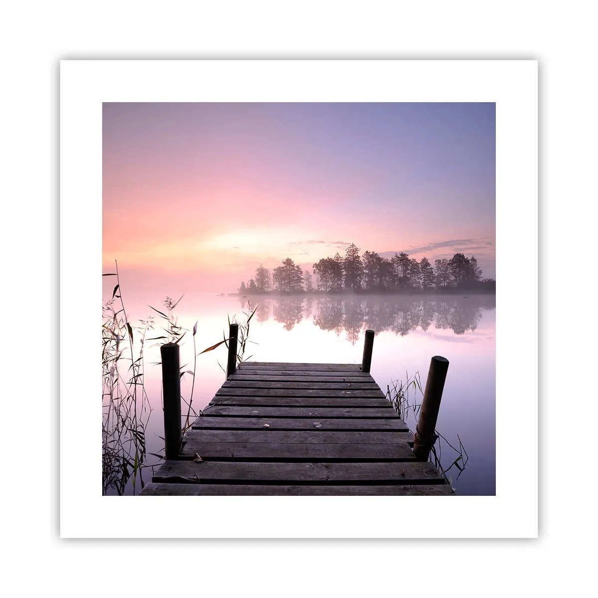 Poster - Nebbia color lilla - 40x40 cm