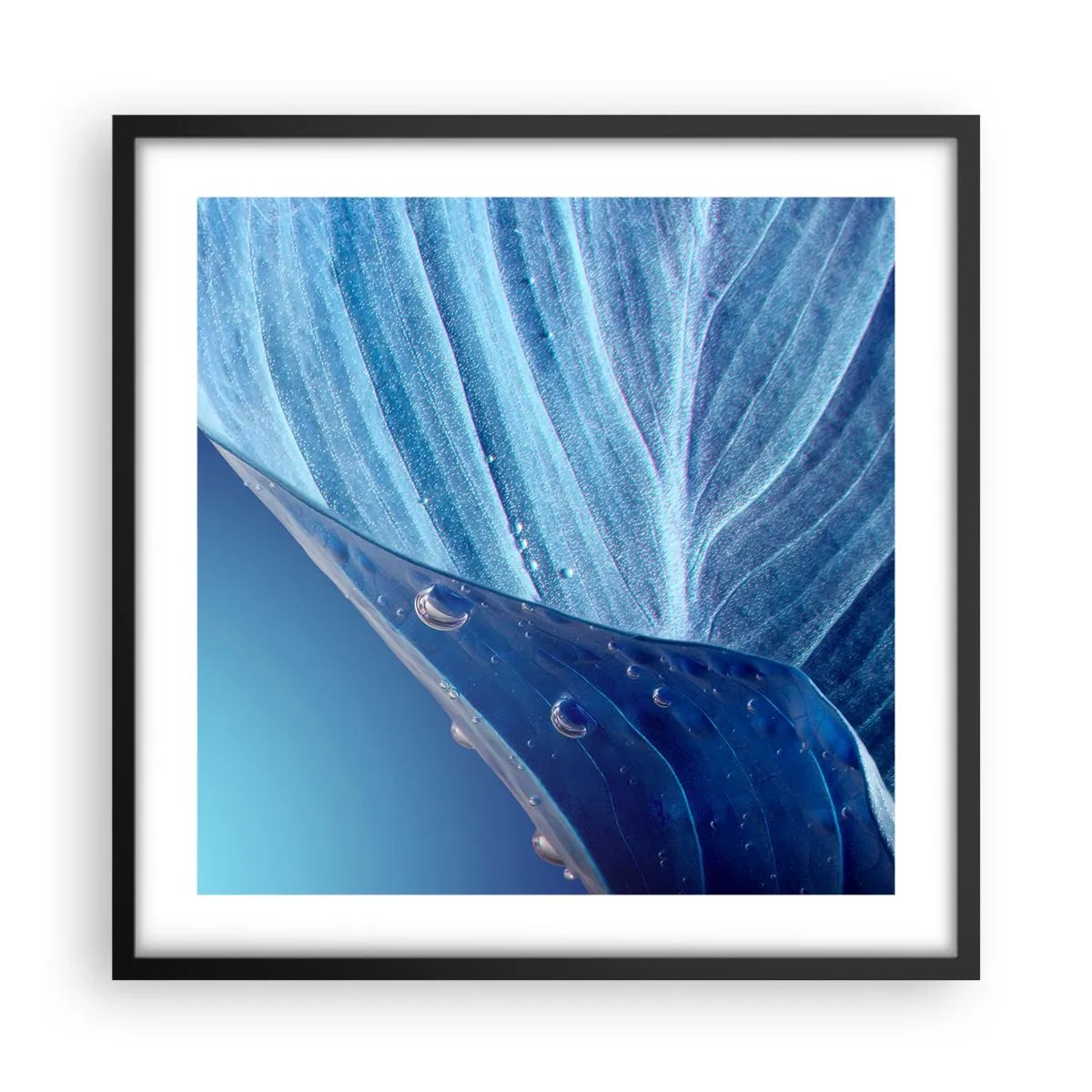 Poster in cornice nera - Gocce di blu nascoste - 50x50 cm