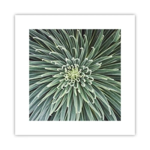 Poster - La nascita delle stelle - 30x30 cm