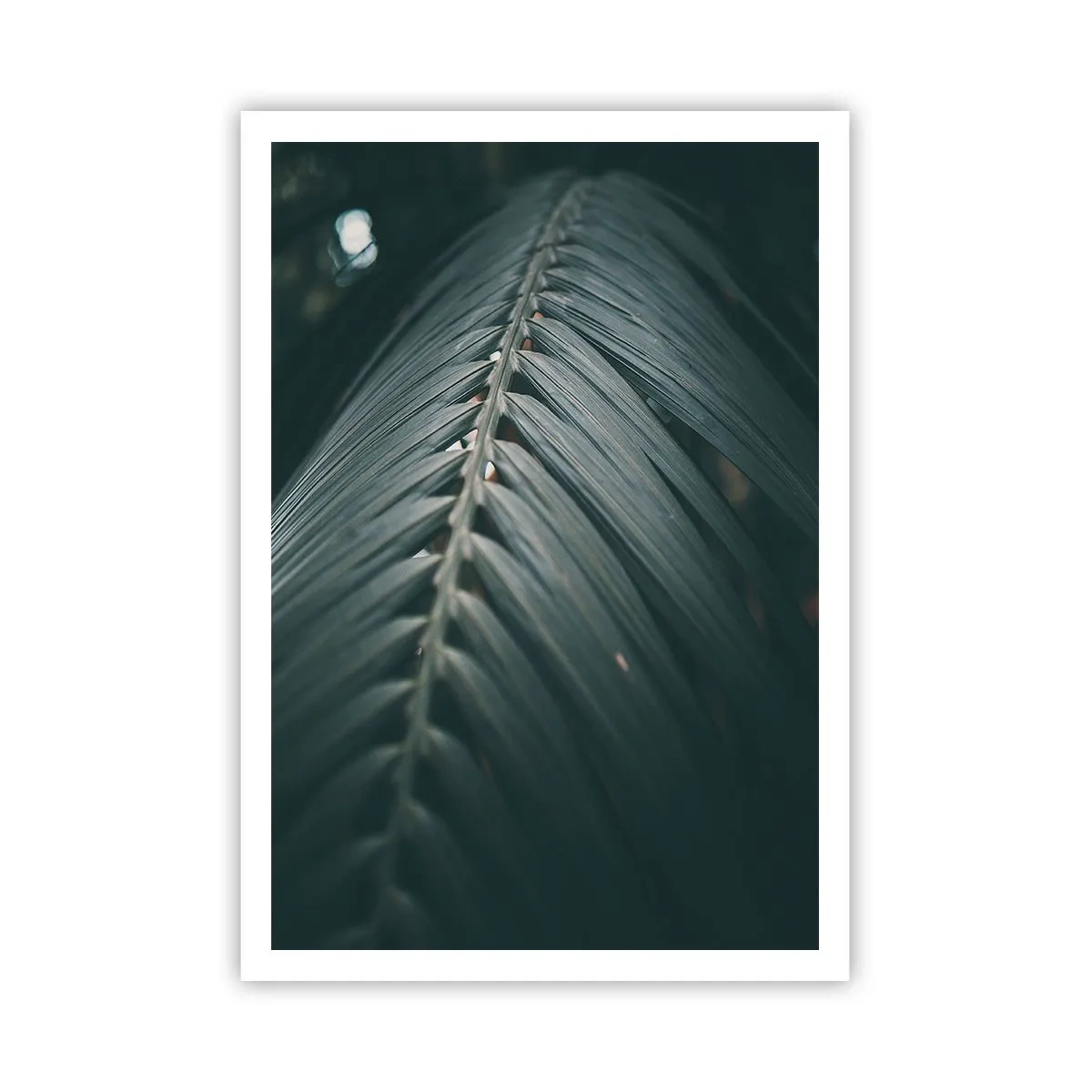 Poster - La precisione della natura - 70x100 cm