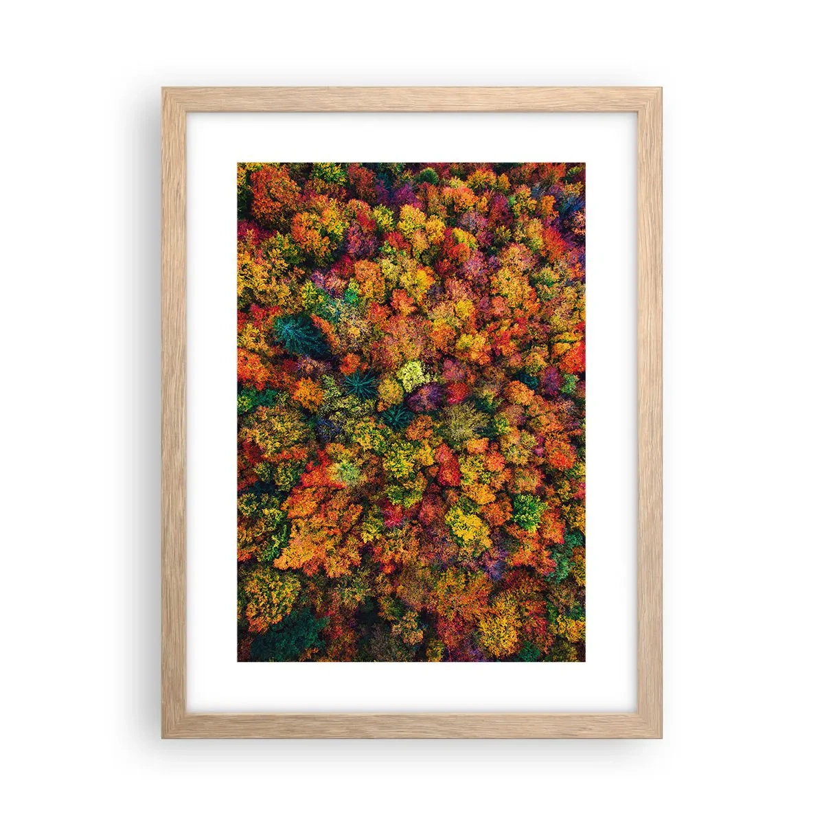 Poster in cornice rovere chiaro - Il bouquet degli alberi d'autunno - 30x40 cm