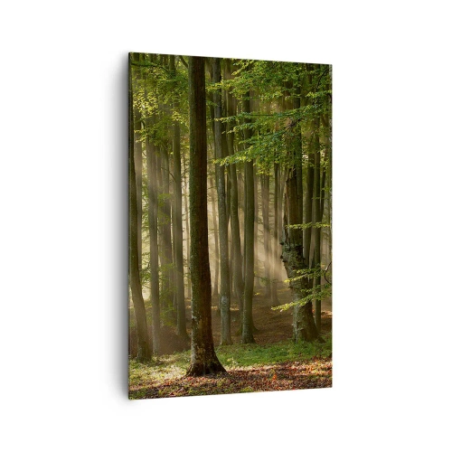 Quadro su tela - Stampe su Tela - Raggi di sole che penetrano attraverso gli alberi nella foresta - 80x120cm - Raggiante in un mattino di primavera - Decorazione murale moderna per soggiorno e camera da letto ARTTOR