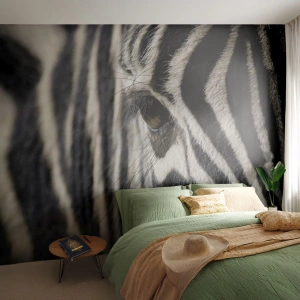 Fotomurali Premium Sand - Ritratto a strisce - Animali, Costolette, Africa - 300x210 cm