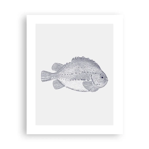 Poster - Nell'album del naturalista - 40x50 cm