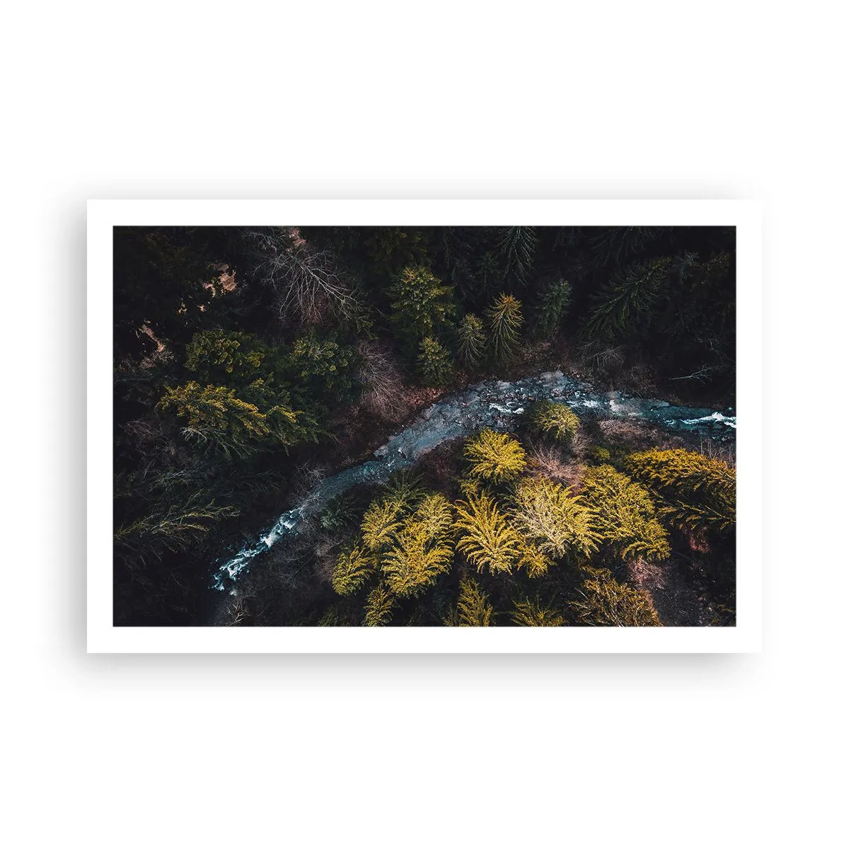 Poster - Sempre più veloce - 91x61 cm