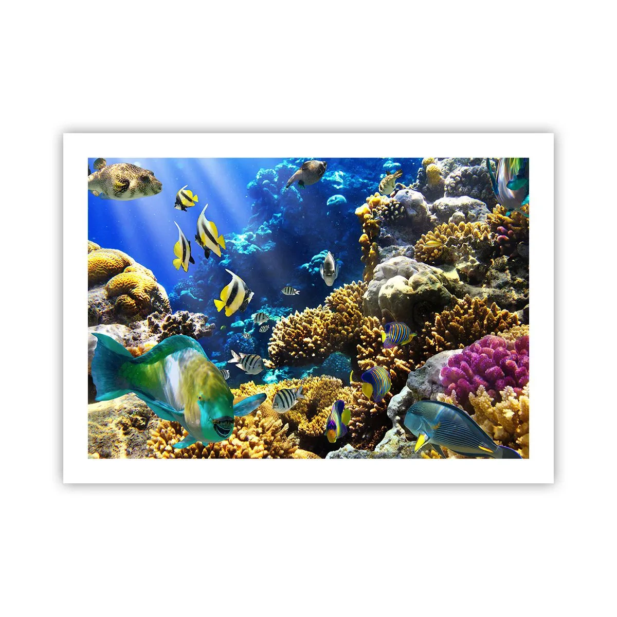 Poster - Traffico intenso sulla via delle vacanze - 70x50 cm