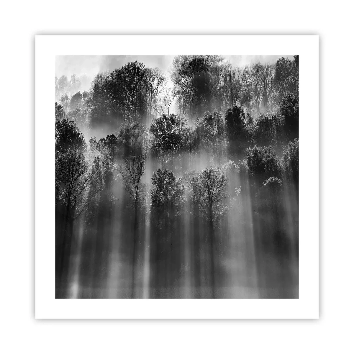 Poster - Nei getti di luce - 50x50 cm