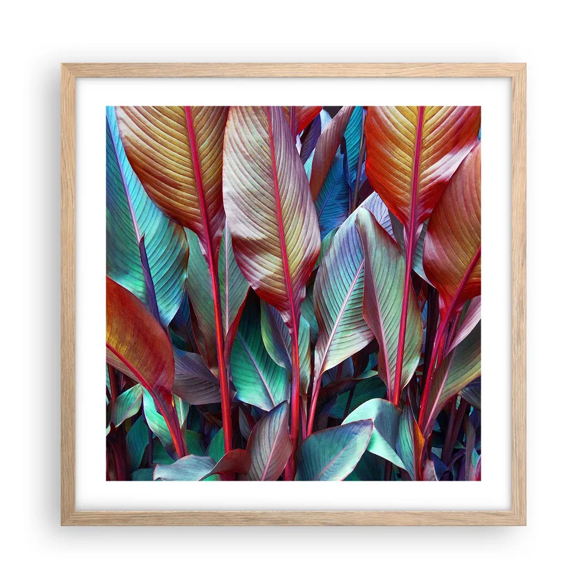 Poster in cornice rovere chiaro - Selva colorata - 50x50 cm