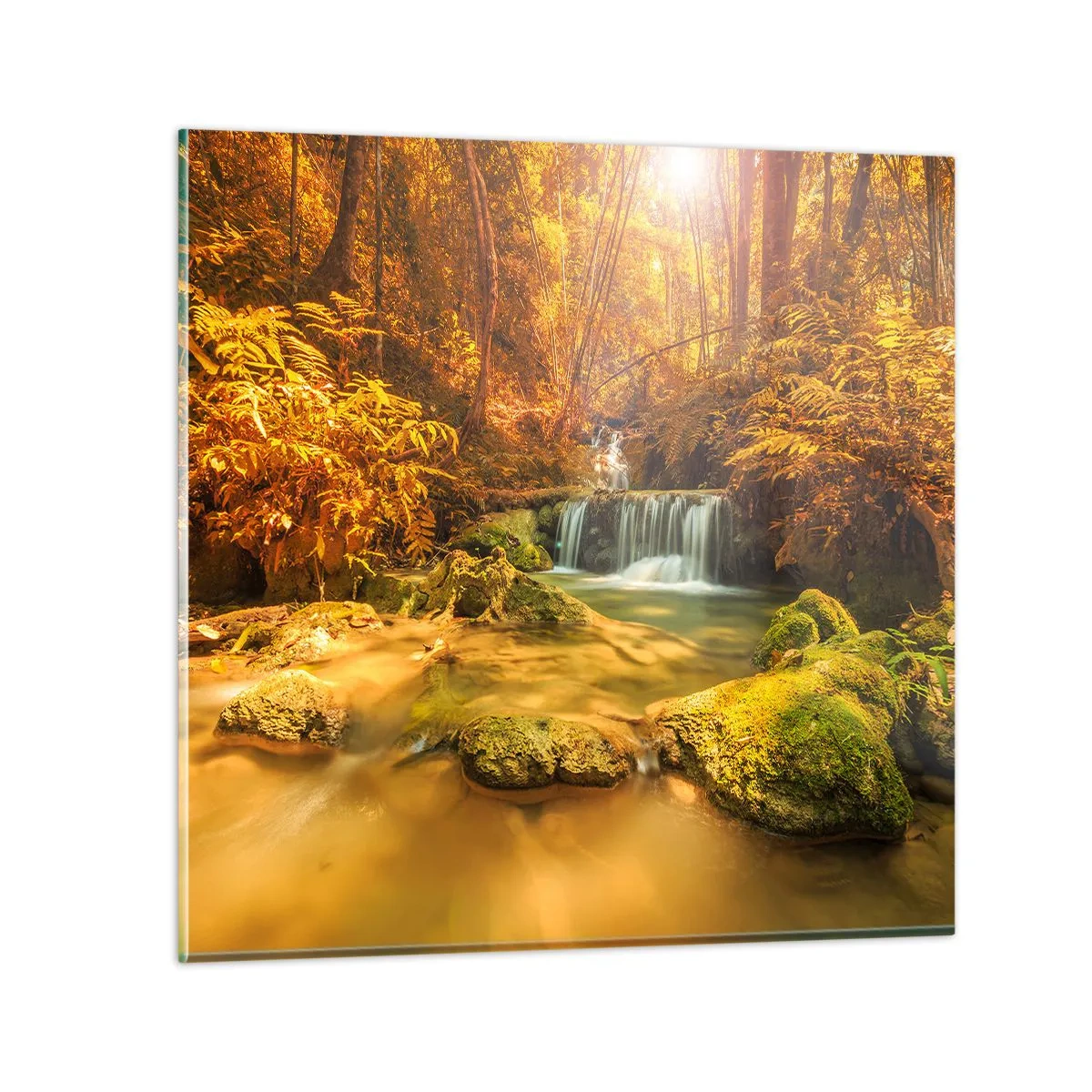 Quadro su vetro - Cascata boschiva in oro - 70x70 cm