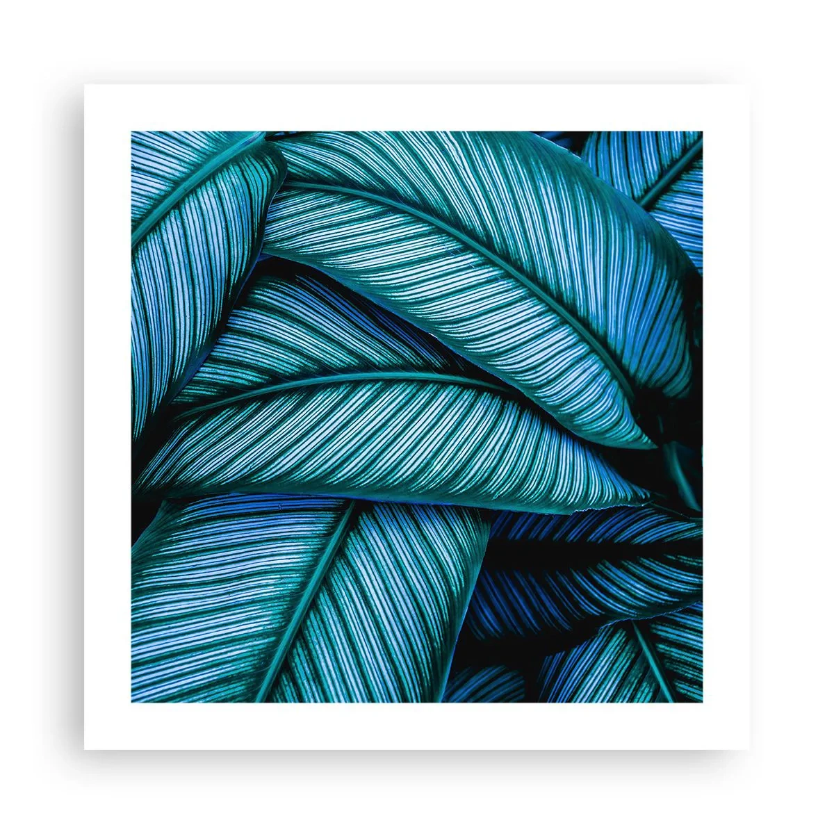 Poster - Le linee della vita - 50x50 cm