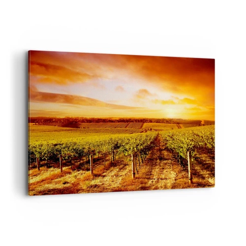 Quadro su tela - Stampe su Tela - Vigneto al tramonto con toni caldi del cielo - 120x80cm - Profumo di frutta con una nota di sole - Decorazione murale moderna per soggiorno e camera da letto ARTTOR