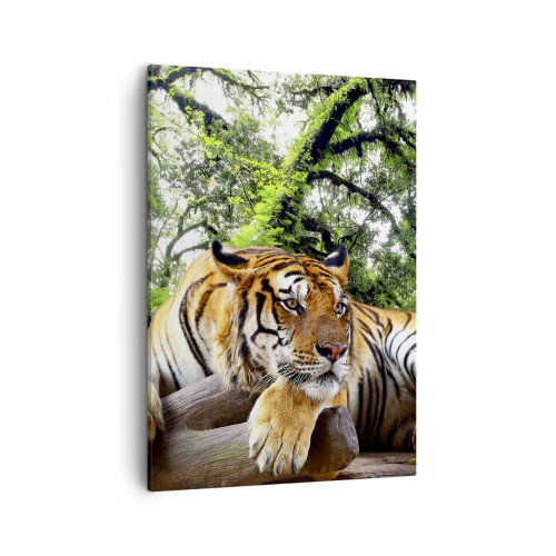 Quadro su tela - Stampe su Tela - Una tigre che riposa in una foresta tropicale - 50x70cm - Con espressioni di stima - Decorazione murale moderna per soggiorno e camera da letto ARTTOR