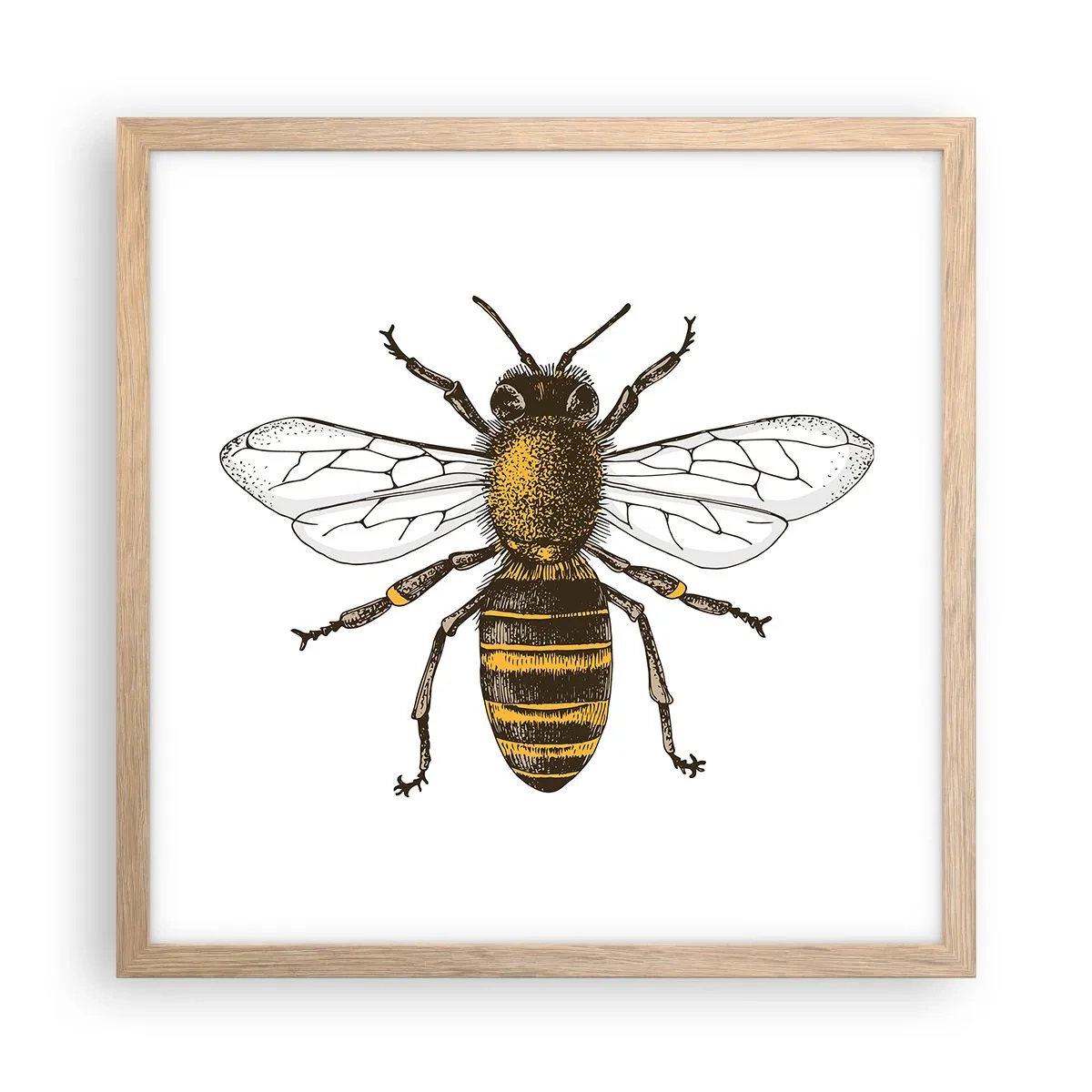 Poster in cornice rovere chiaro - Bella e buona - 40x40 cm