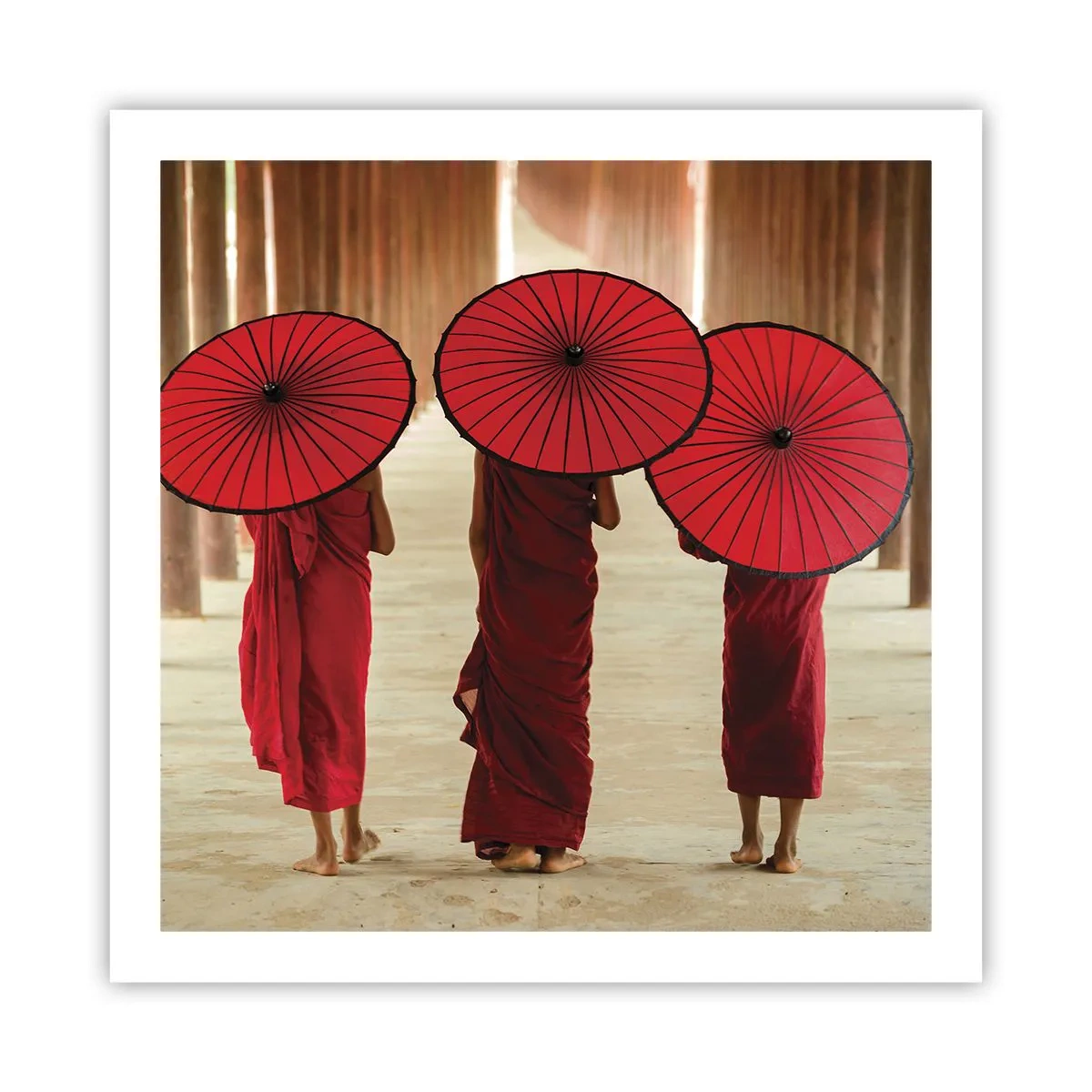 Poster - In cammino verso la Terra Pura - 60x60 cm